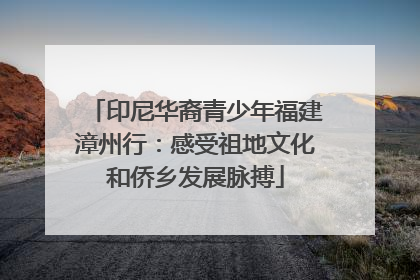 印尼华裔青少年福建漳州行：感受祖地文化和侨乡发展脉搏