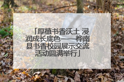 厚植书香沃土 浸润成长底色——桦南县书香校园展示交流活动圆满举行