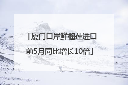 厦门口岸鲜榴莲进口 前5月同比增长10倍