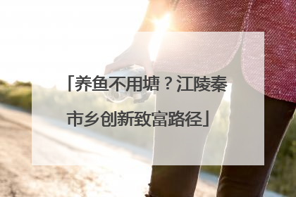 养鱼不用塘？江陵秦市乡创新致富路径