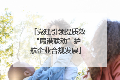 党建引领提质效 “局港联动”护航企业合规发展
