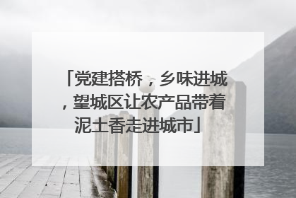 党建搭桥，乡味进城，望城区让农产品带着泥土香走进城市