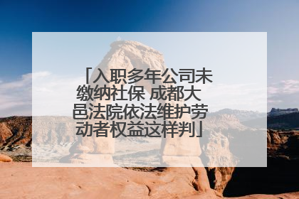入职多年公司未缴纳社保 成都大邑法院依法维护劳动者权益这样判