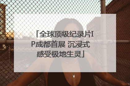 全球顶级纪录片IP成都首展 沉浸式感受极地生灵