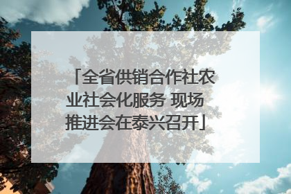 全省供销合作社农业社会化服务 现场推进会在泰兴召开