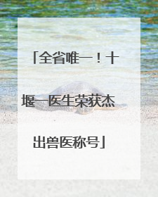 全省唯一！十堰一医生荣获杰出兽医称号