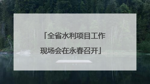 全省水利项目工作现场会在永春召开