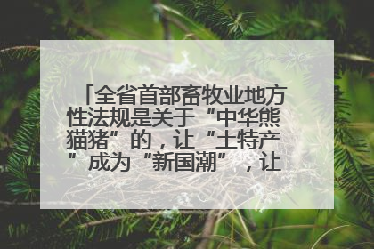 全省首部畜牧业地方性法规是关于“中华熊猫猪”的，让“土特产”成为“新国潮”，让“农产品”升格为“城市IP”
