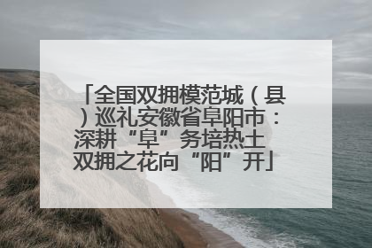 全国双拥模范城（县）巡礼安徽省阜阳市：深耕“阜”务培热土 双拥之花向“阳”开