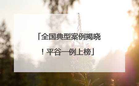 全国典型案例揭晓！平谷一例上榜