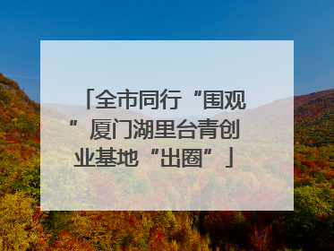 全市同行“围观”厦门湖里台青创业基地“出圈”