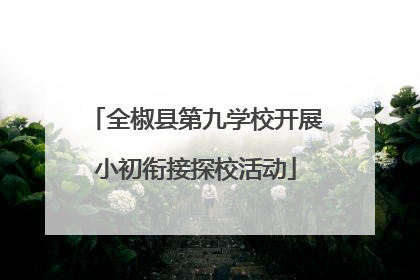 全椒县第九学校开展小初衔接探校活动
