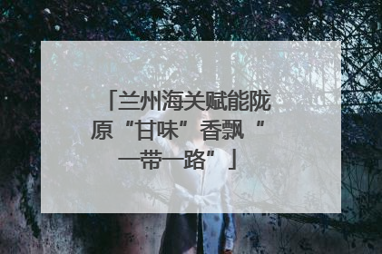 兰州海关赋能陇原“甘味”香飘“一带一路”