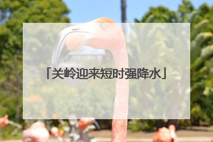 关岭迎来短时强降水