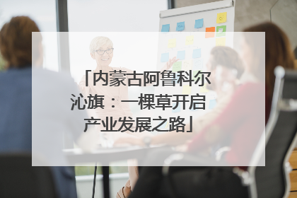 内蒙古阿鲁科尔沁旗：一棵草开启产业发展之路