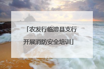 农发行临澧县支行开展消防安全培训
