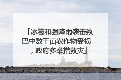 冰雹和强降雨袭击致巴中数千亩农作物受损，政府多举措救灾