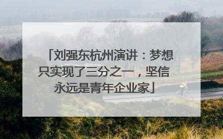 刘强东杭州演讲：梦想只实现了三分之一，坚信永远是青年企业家