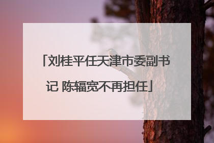 刘桂平任天津市委副书记 陈辐宽不再担任