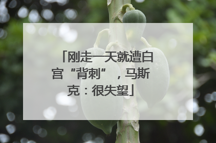 刚走一天就遭白宫“背刺”，马斯克：很失望