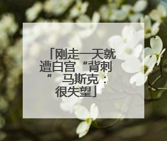 刚走一天就遭白宫“背刺” 马斯克：很失望