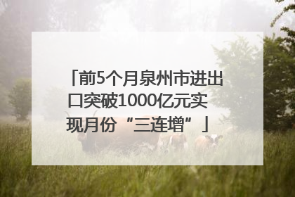 前5个月泉州市进出口突破1000亿元实现月份“三连增”