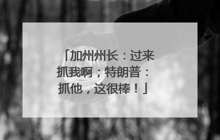 加州州长：过来抓我啊；特朗普：抓他，这很棒！