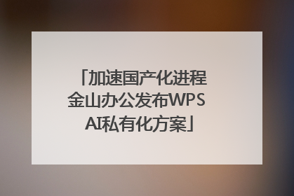 加速国产化进程 金山办公发布WPS AI私有化方案
