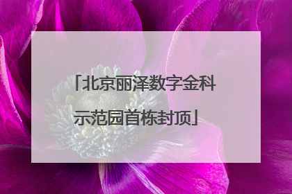 北京丽泽数字金科示范园首栋封顶