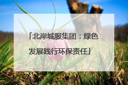 北岸城服集团：绿色发展践行环保责任