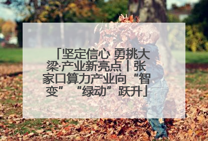 坚定信心 勇挑大梁·产业新亮点丨张家口算力产业向“智变”“绿动”跃升