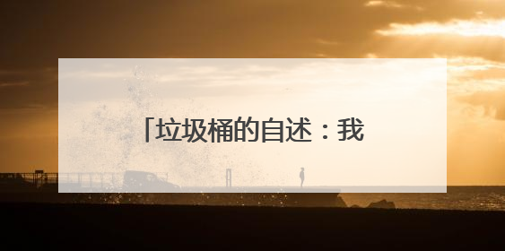 垃圾桶的自述：我在兴山水月寺做起了“数字岗哨”
