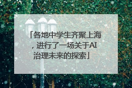 各地中学生齐聚上海，进行了一场关于AI治理未来的探索