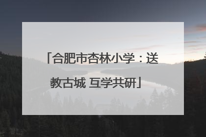合肥市杏林小学：送教古城 互学共研