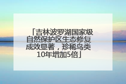 吉林波罗湖国家级自然保护区生态修复成效显著，珍稀鸟类10年增加5倍