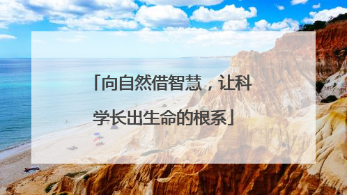 向自然借智慧，让科学长出生命的根系