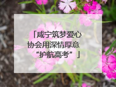 咸宁筑梦爱心协会用深情厚意“护航高考”