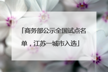 商务部公示全国试点名单，江苏一城市入选