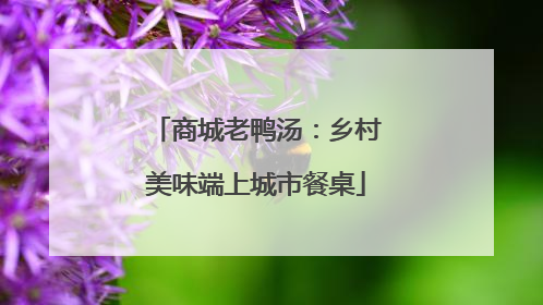 商城老鸭汤：乡村美味端上城市餐桌