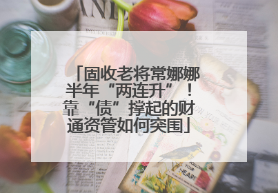 固收老将常娜娜半年“两连升”！靠“债”撑起的财通资管如何突围