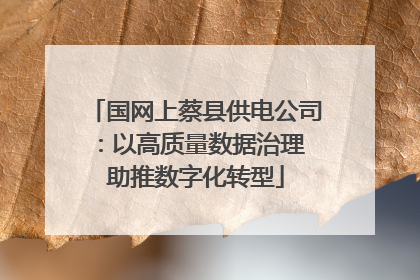 国网上蔡县供电公司：以高质量数据治理 助推数字化转型