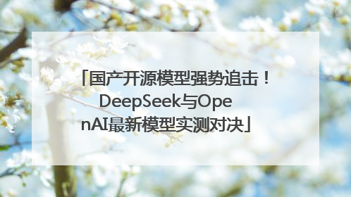 国产开源模型强势追击！DeepSeek与OpenAI最新模型实测对决