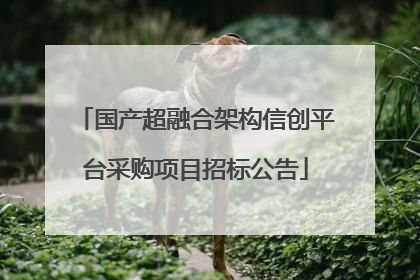 国产超融合架构信创平台采购项目招标公告