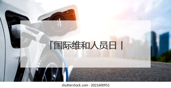 国际维和人员日丨走近海外维和一线 致敬中国“蓝盔”