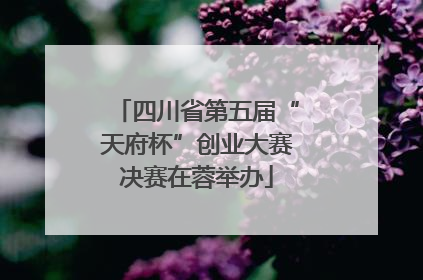 四川省第五届“天府杯”创业大赛决赛在蓉举办