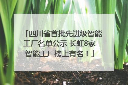 四川省首批先进级智能工厂名单公示 长虹8家智能工厂榜上有名！