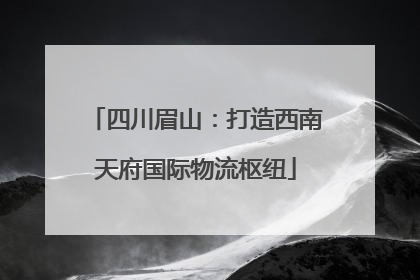 四川眉山：打造西南天府国际物流枢纽