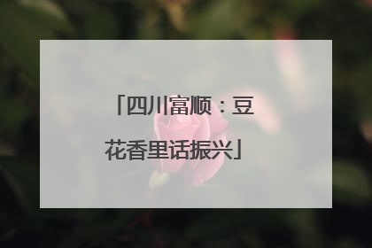 四川富顺：豆花香里话振兴
