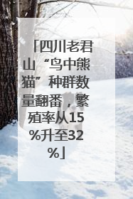 四川老君山“鸟中熊猫”种群数量翻番，繁殖率从15%升至32%