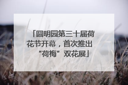 圆明园第三十届荷花节开幕，首次推出“荷梅”双花展